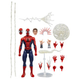 Marvel Legends Maximum Series - Spider-Man