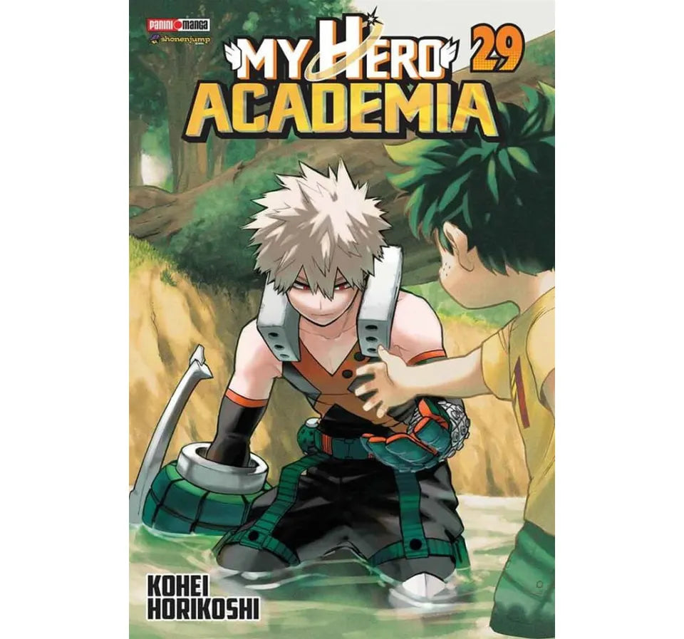 MY HERO ACADEMIA #29