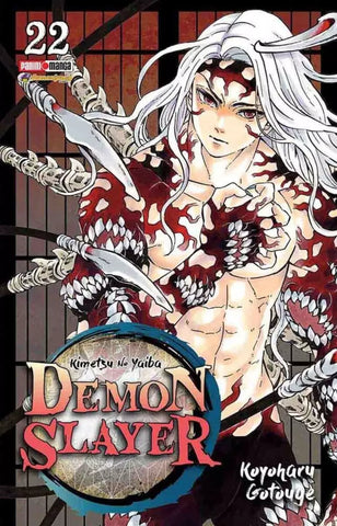 DEMON SLAYER # 22