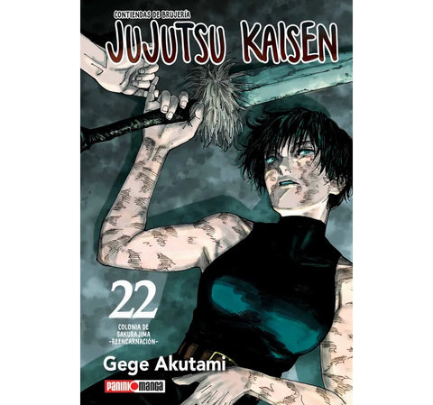 JUJUTSU KAISEN #22
