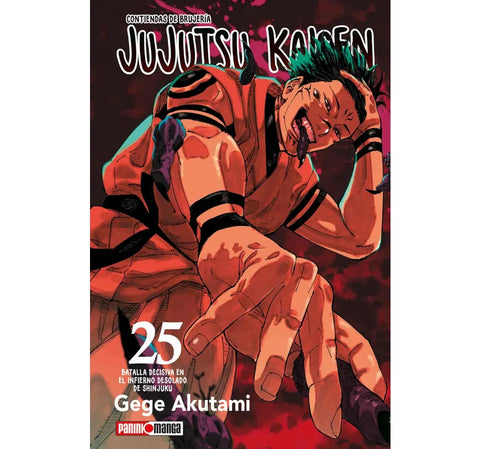 JUJUTSU KAISEN #25