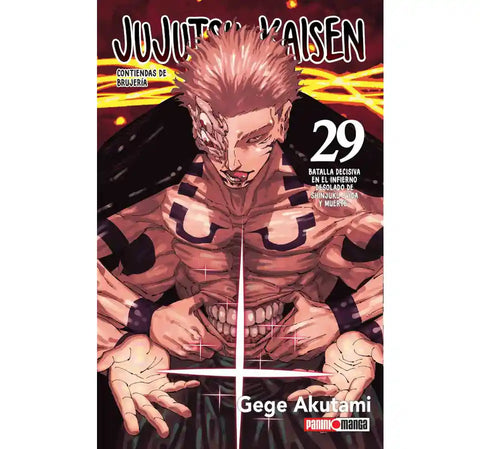 JUJUTSU KAISEN #29