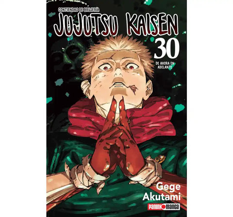 JUJUTSU KAISEN #30