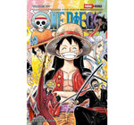 ONE PIECE #100