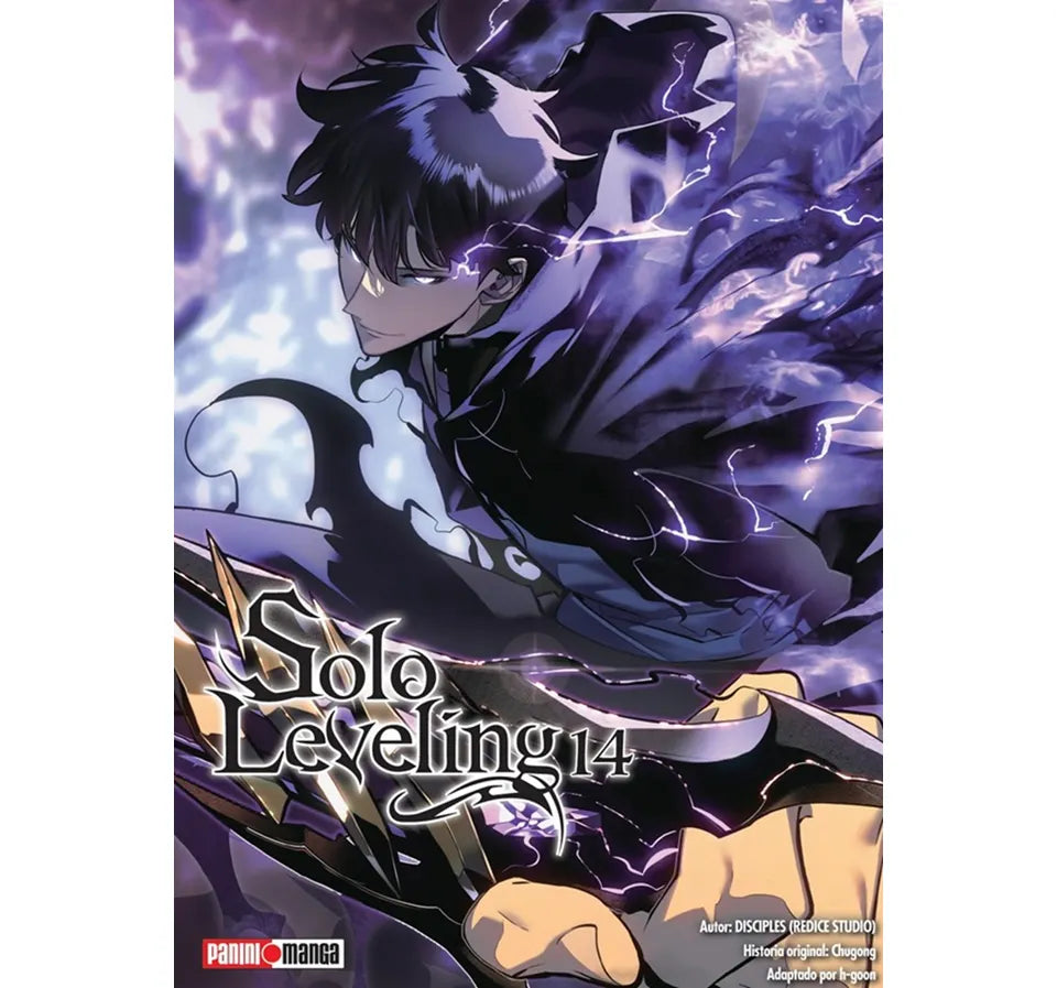 SOLO LEVELING #14