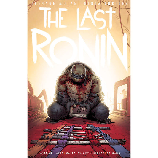 TEENAGE MUTANT NINJA TURTLES THE LAST RONIN 2 B