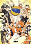 Rompecabezas Haikyu!! 1000 pzas