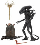 Neca - Alien Ultimate 40th Anniversary Big Chap